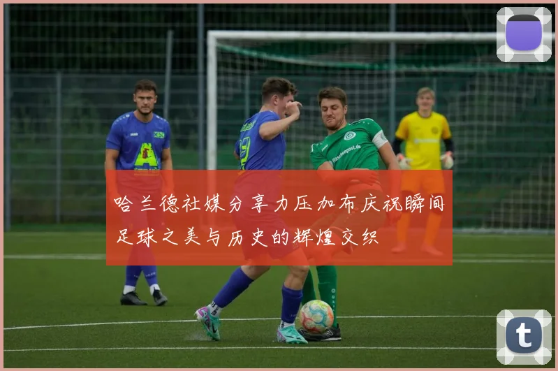 哈兰德社媒分享力压加布庆祝瞬间足球之美与历史的辉煌交织