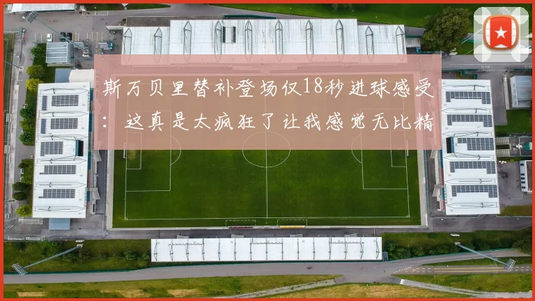 斯万贝里替补登场仅18秒进球感受：这真是太疯狂了让我感觉无比精彩